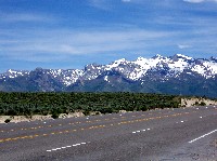 Ruby Mountains from Spring Creek Area